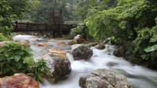 雁南飞茶田景区-桥溪古韵-梅州-doris圈圈