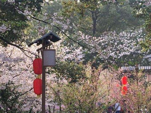 大明文化园