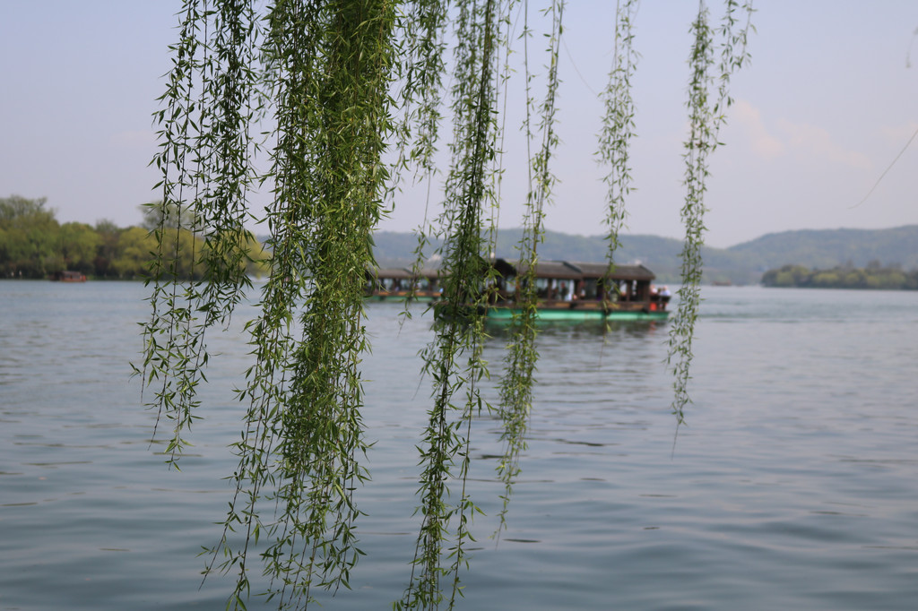 春天,我与西湖有个约定!