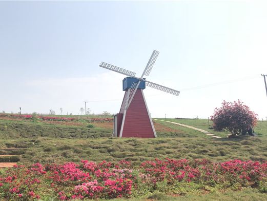 西长四季花海
