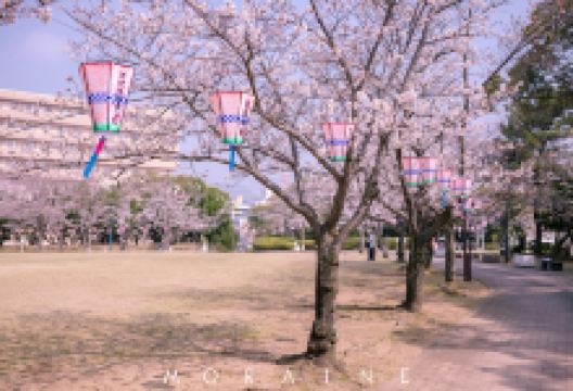 西海国立公园景点图片