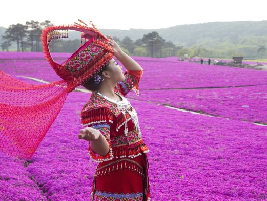 芝樱小镇