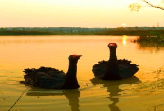 湘阴旅游图片-岳阳洋沙湖国际旅游度假区五彩花田+渔窑小镇一日游