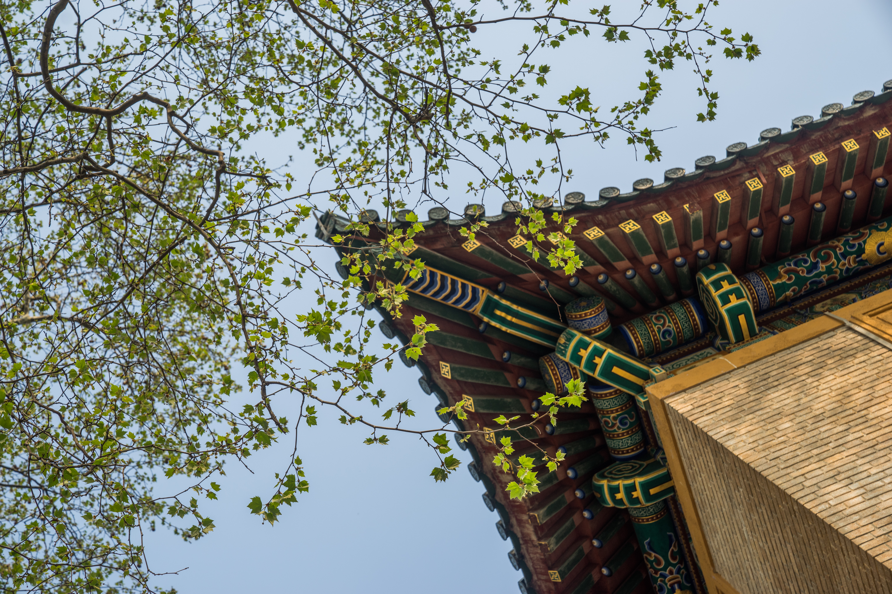 Meiling Palace Tickets Deals Reviews Family Holidays - 