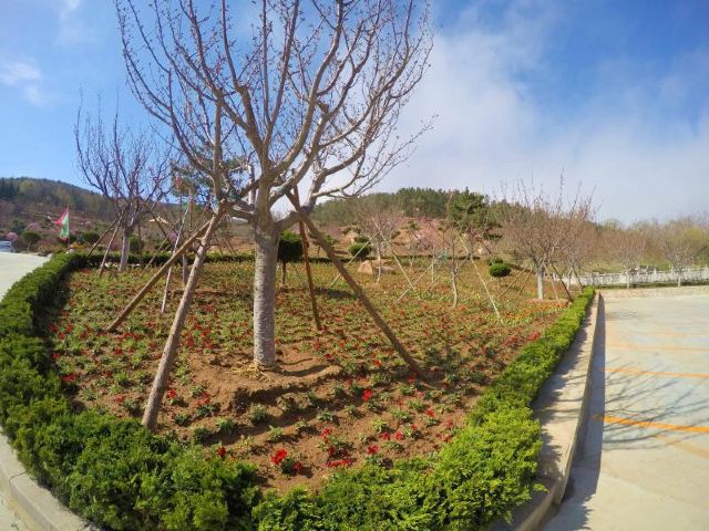 츠산 관광단지