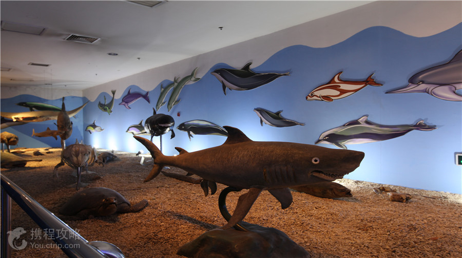 曲江海洋極地公園