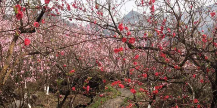 桃源生態旅遊區