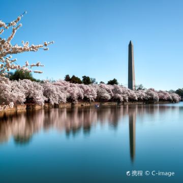 美国洛杉矶+拉斯维加斯+圣地亚哥+盐湖城+纽约+费城+华盛顿15日13晚跟团游