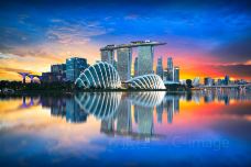 新加坡-doris圈圈