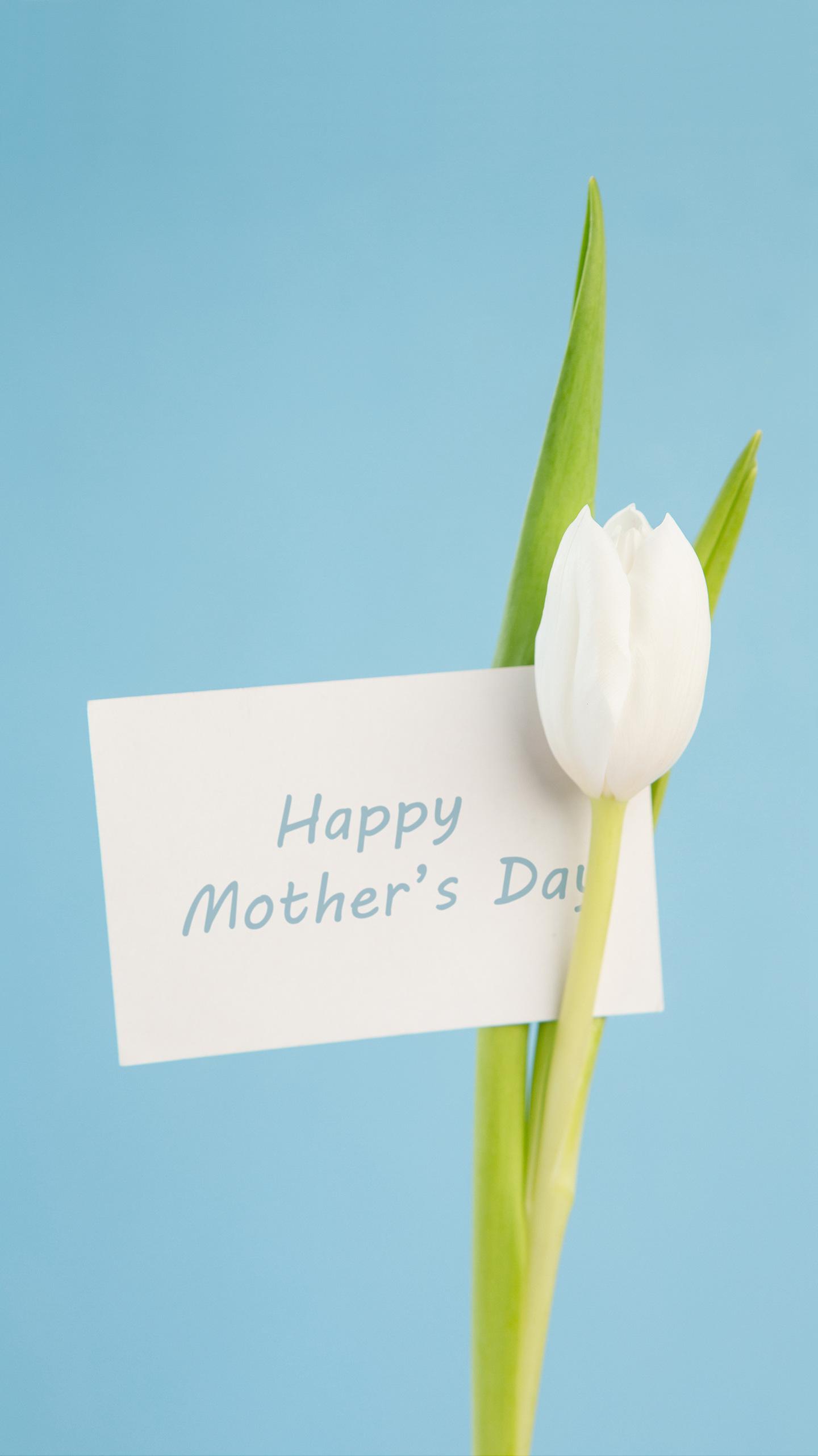 酒都宾馆中餐厅餐厅图片