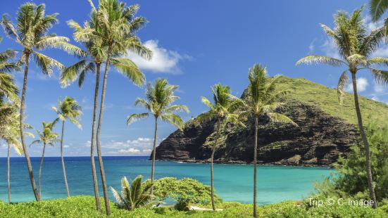 Makapu'u Point