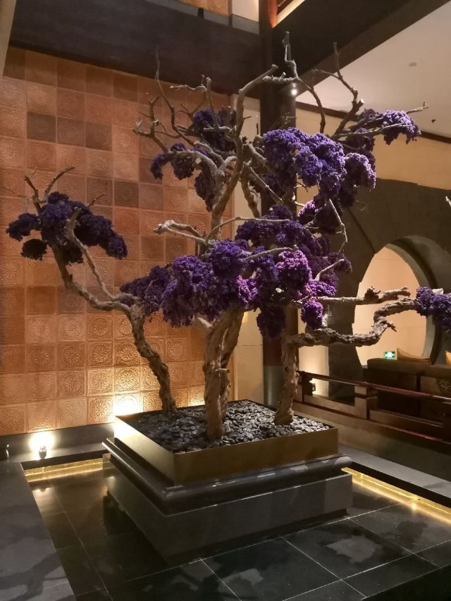 華清禦湯溫泉