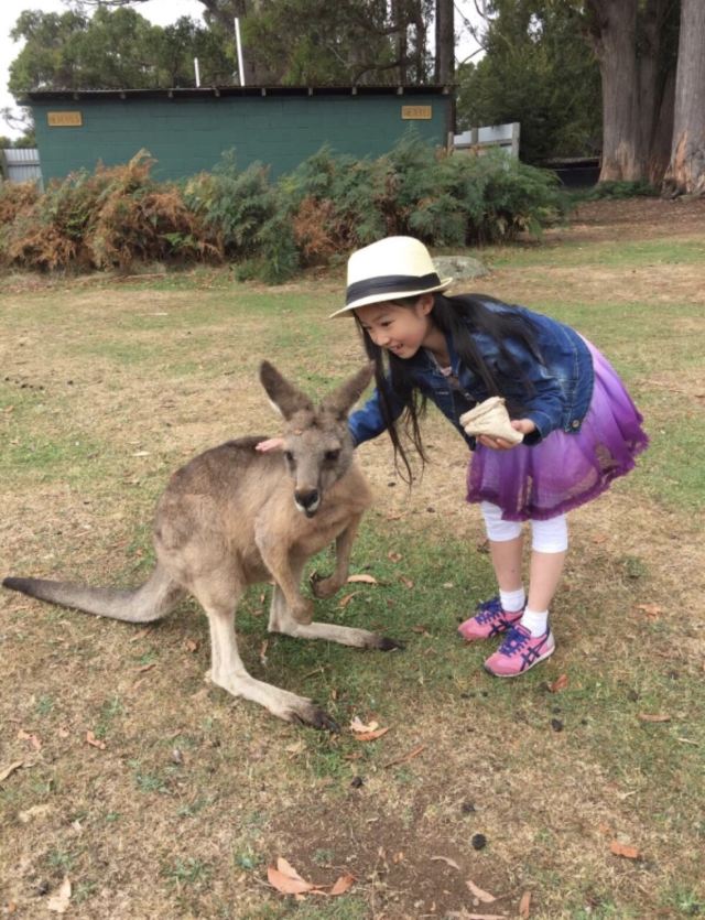 Trowunna Wildlife Park