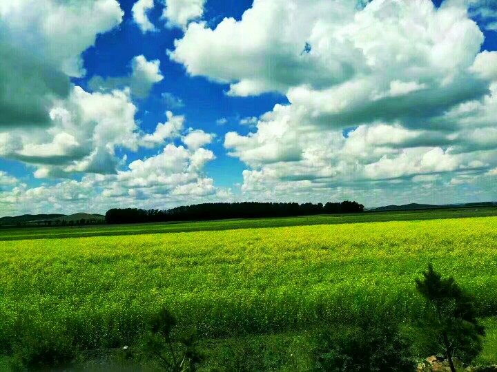 乌兰布统大草原