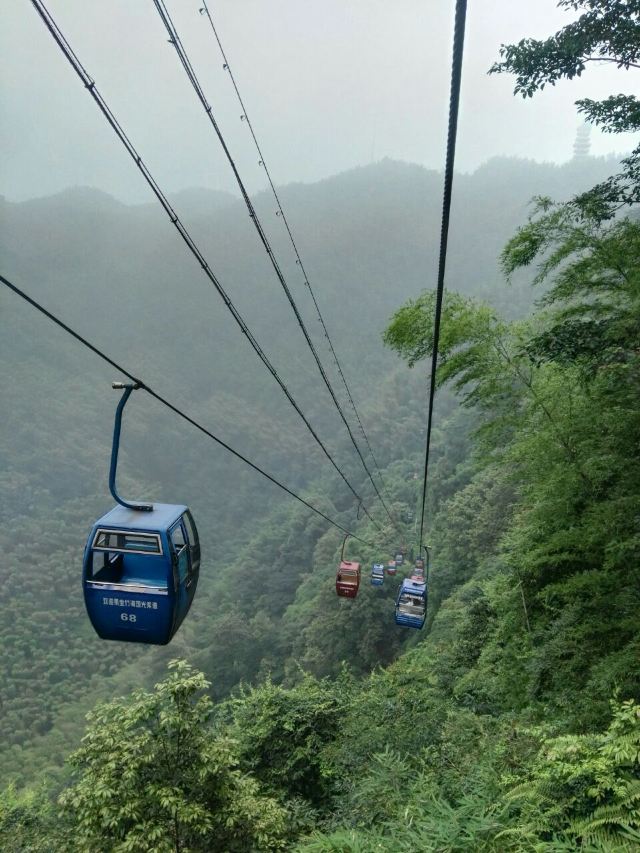 Shunan Zhuhai (“South Sichuan Bamboo Sea”) National Park