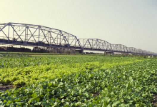 台湾西螺大桥景点图片