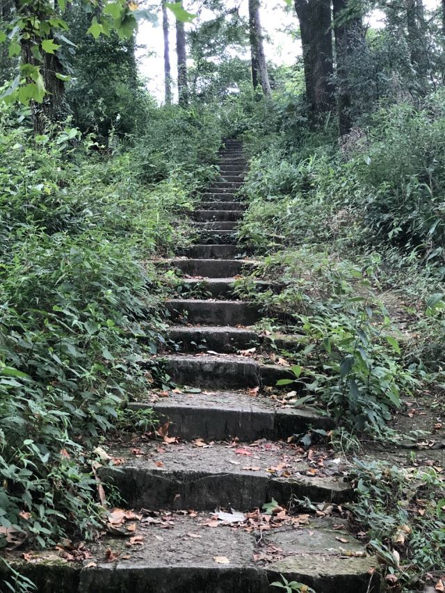 莫干山景區