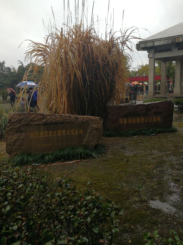 Shajiabang Scenic Area