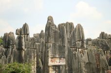 小石林景区-阿诗玛-石林-YoYo_2S2L0F0E