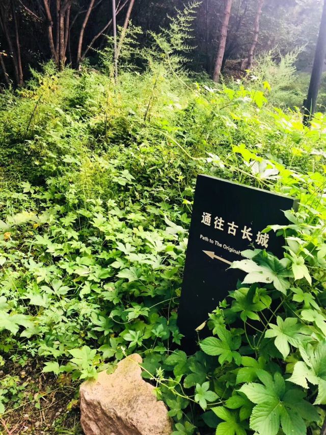 Commune by the Great Wall