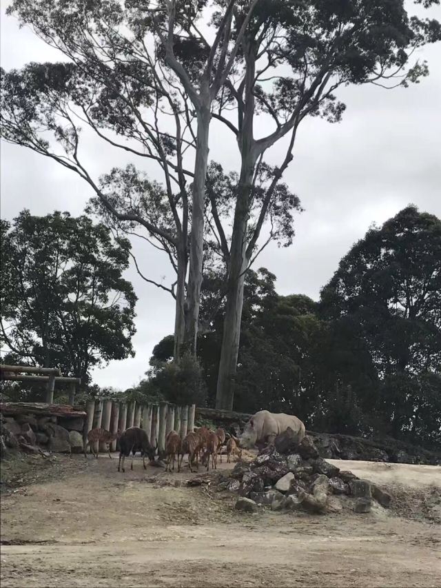 Auckland Zoo