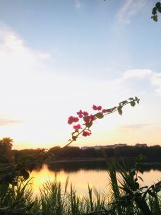 剑英公园-梅州-YoYo_8Z2B6U0D