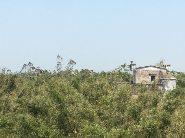 Ma-Xianglong Towers Group
