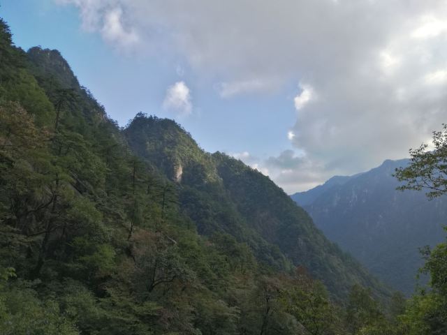 龍門飛渡索橋