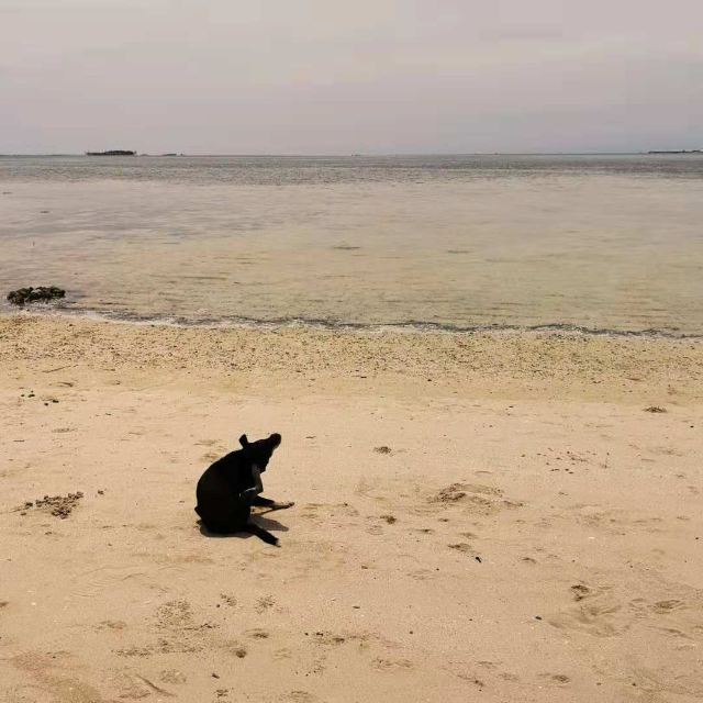 Caohagan Island
