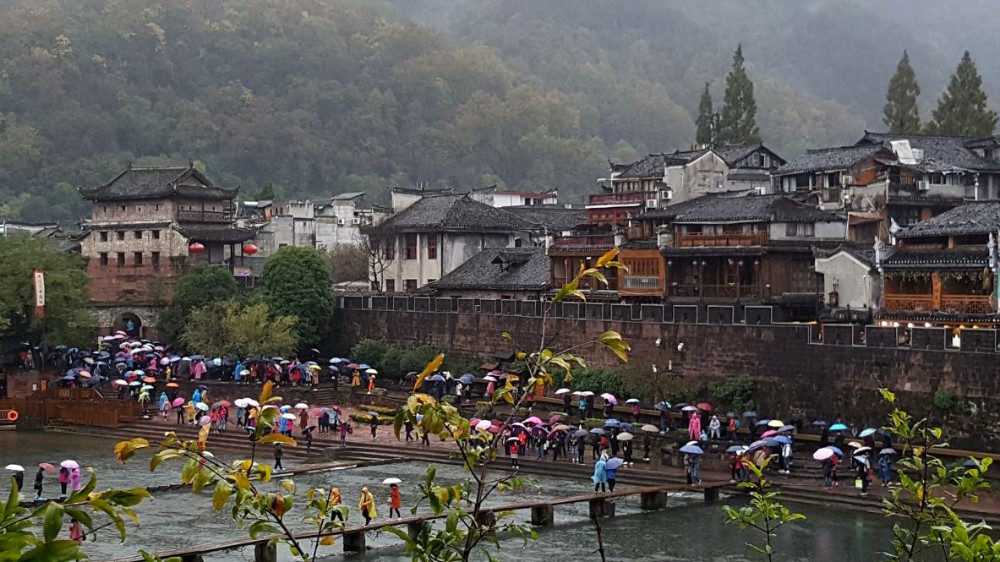 雨中凤凰城