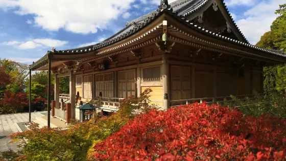 鏑射寺