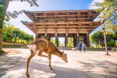 东大寺-奈良-C-IMAGE