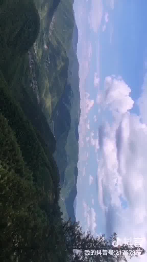 莫干山🍃