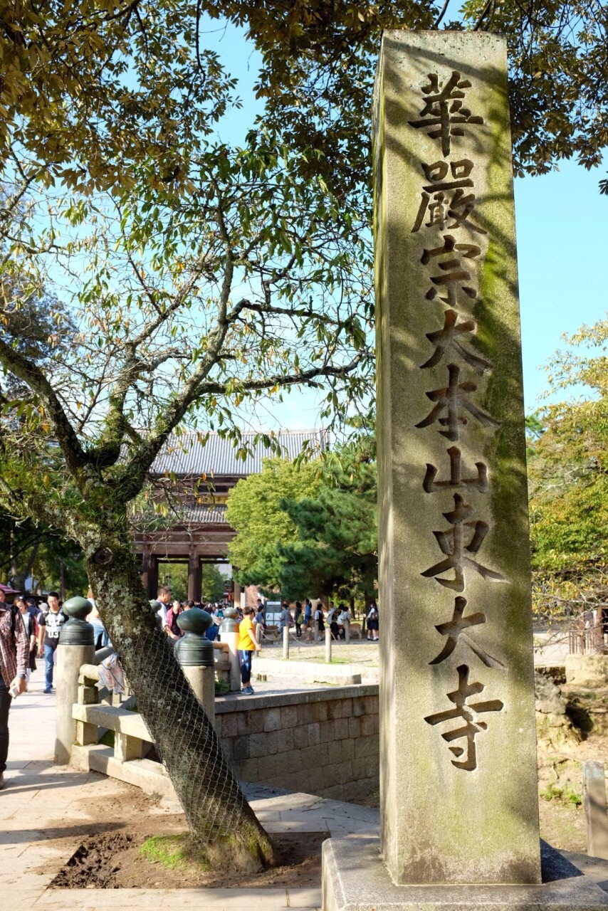 日本奈良「东大寺」
