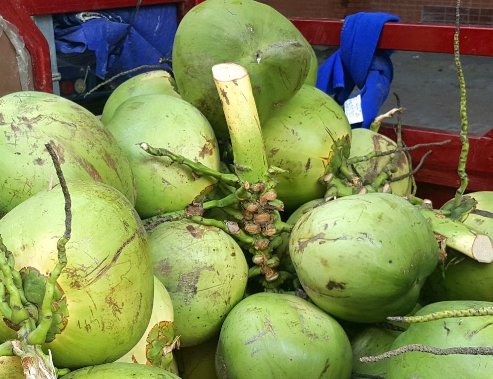 海南，5块钱的椰子