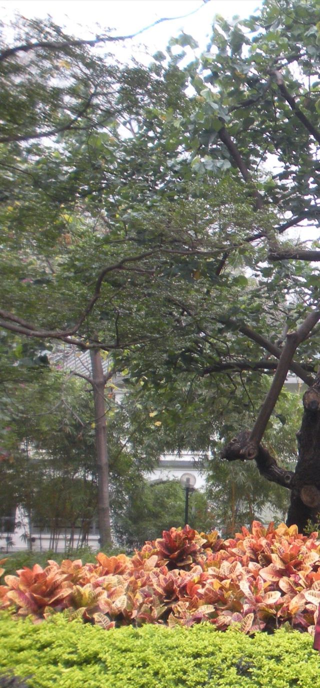 Kowloon Park