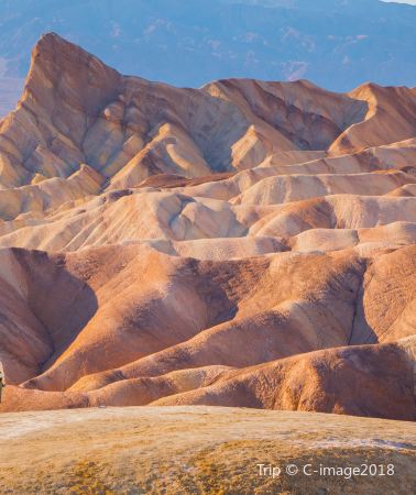9D8N • Phoenix + Saguaro National Park + Carlsbad Caverns National Park + Death Valley National Park
