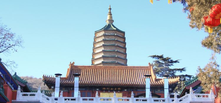 Ling Guang Monastery Tickets Deals Reviews Family - 
