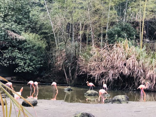 千島湖東南湖區景區