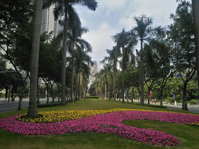 Zhujiang Park