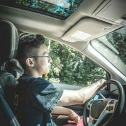 我不想说你是鸡