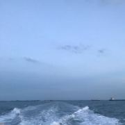 原来我的英文名可以叫