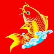 妖妖妖妖妖的林浩