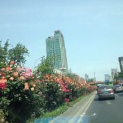 山的那边就是大海