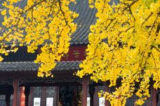 毗卢寺-南京-尊敬的会员