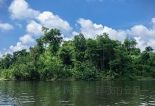 Madagui Forest景点图片