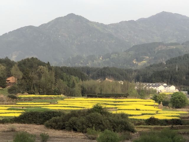 红寺湖旅行图片 4