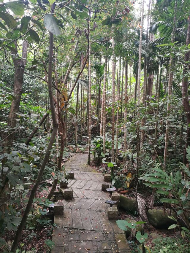 七仙岭君澜温泉旅行图片 5