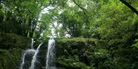 陽壩自然風景區