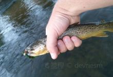 Catskill Fly Fishing Center and Museum景点图片